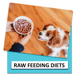 Dog, nutrition and diet
