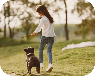 Dog and cat training center